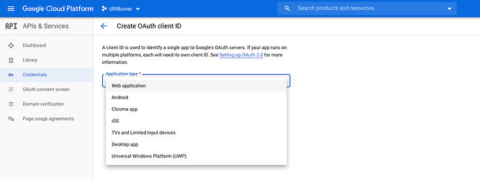 google-identity-provider-app-reg-screen-3