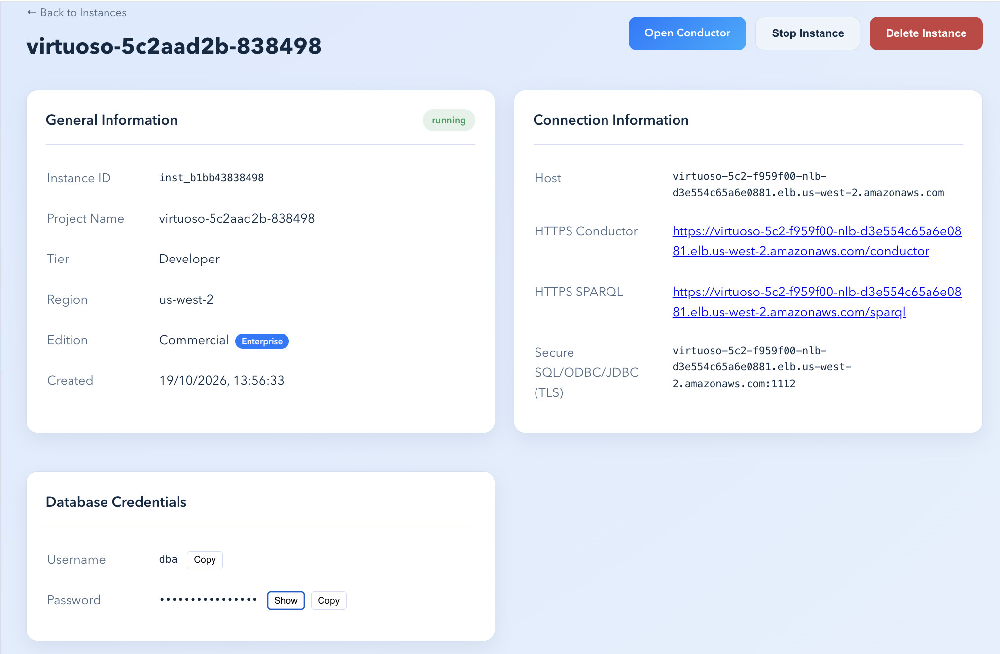 Instance detail page with endpoints and a masked database password
