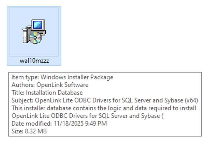 Installation Wizard Launch