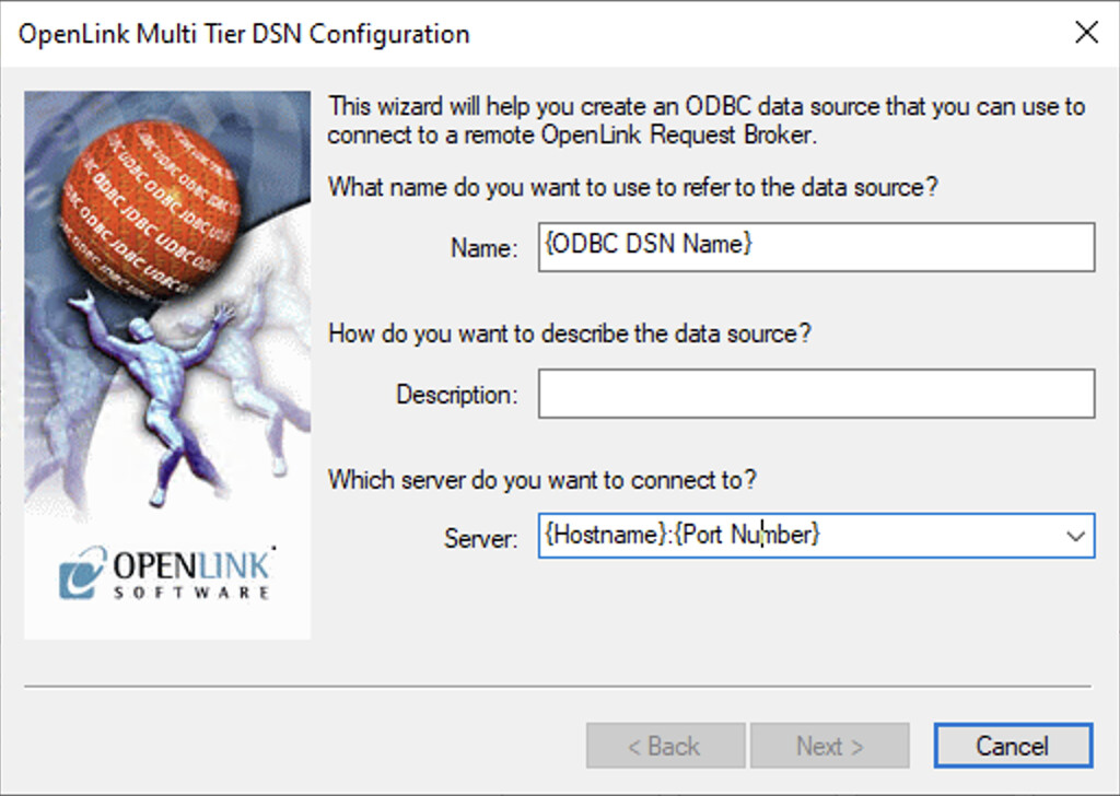 Enter DSN Connection Details